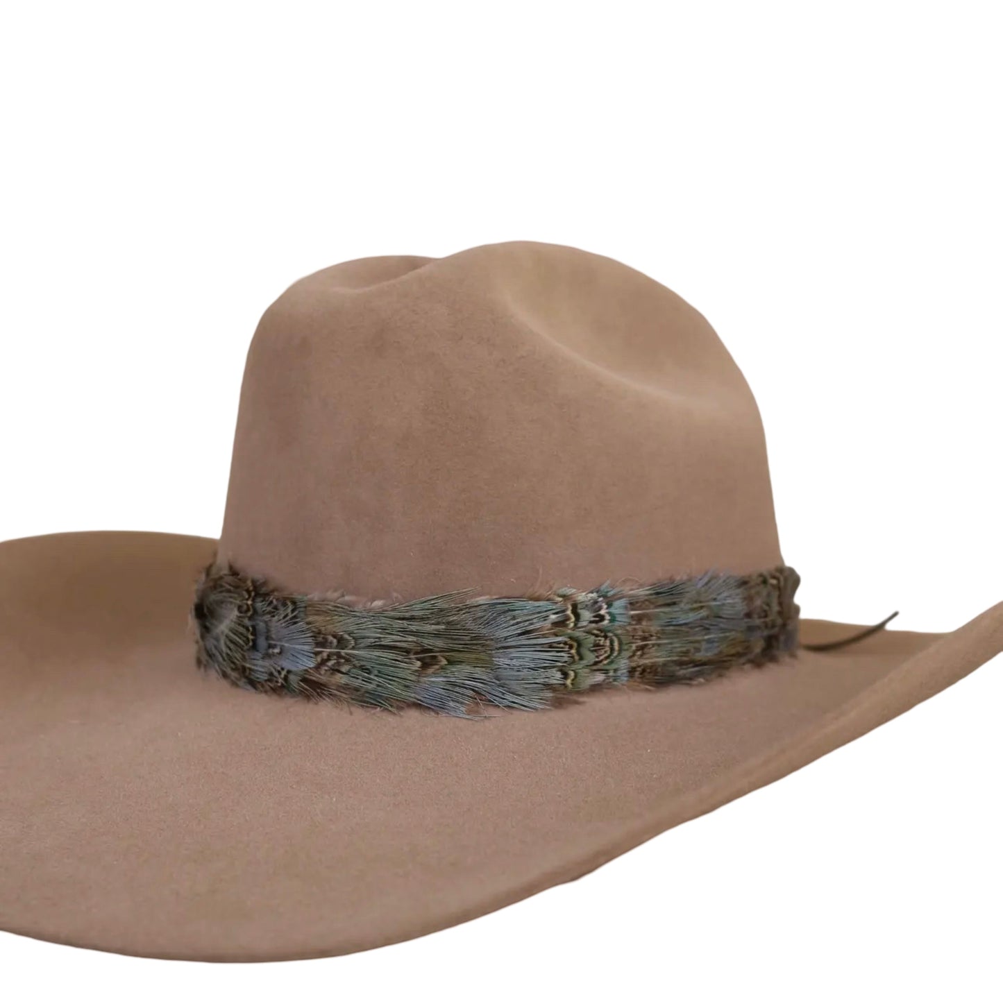 Desert Dove Hat Band